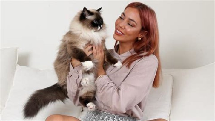 Facts About The Tampa Baes Star Marissa Gialousis