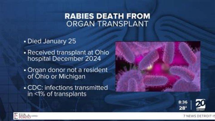 Keegan Jeane Michigan Death | Louisiana Resident Passed Away
