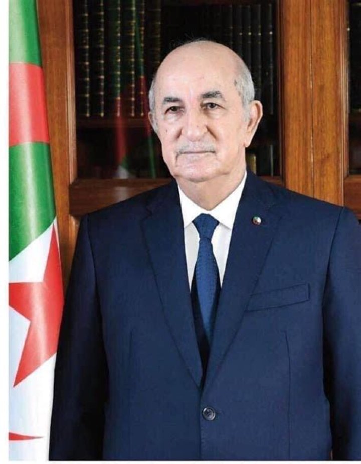 Nadir Larbaoui Wikipedia Biographie And Age: How Old Is Algeria New Prime Minister?